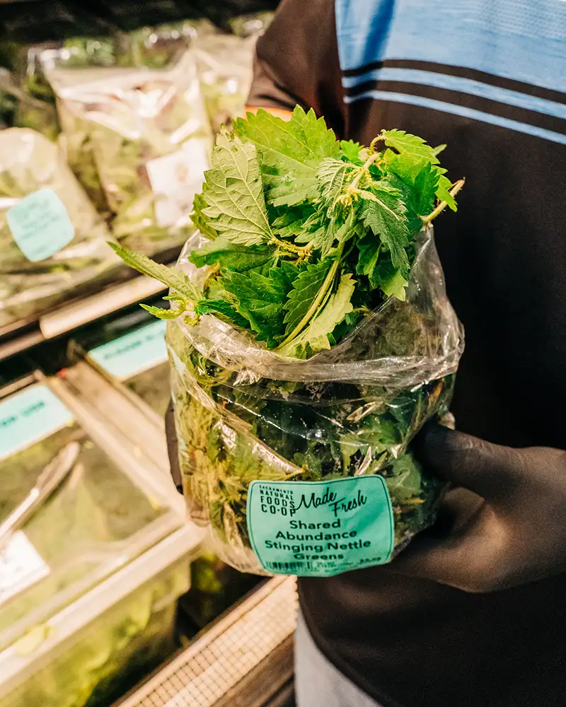 A person holding a bag of nettles.