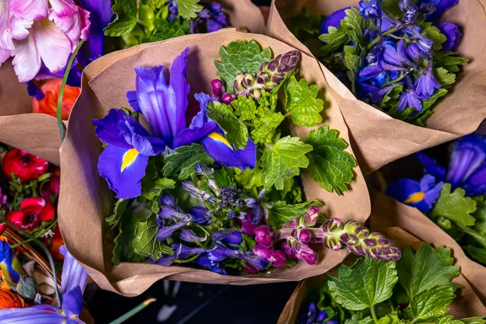 A close up of a bouquet of flowers.