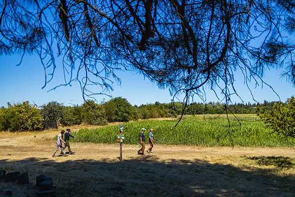 Farmers walking through the farm field at Soil Born.