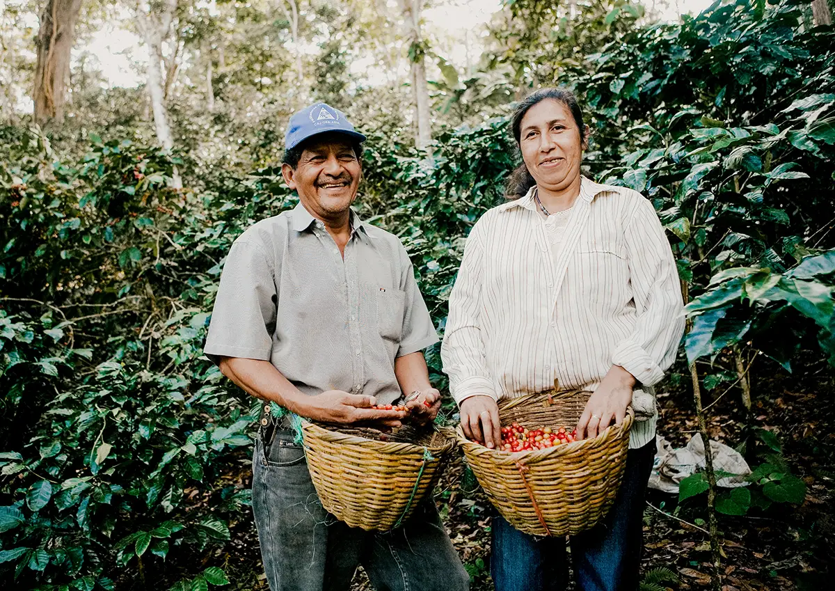 Coffee farmers smiling for a photo while carrying baskets of coffee fruit.