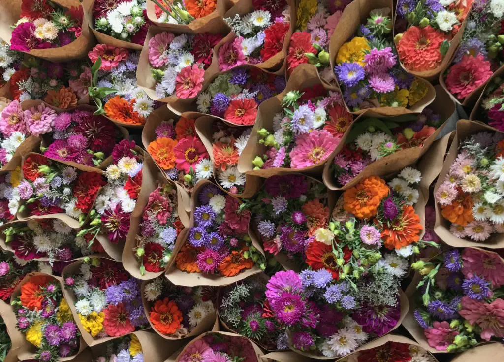 A colorful variety of flowers tightly bunched together.