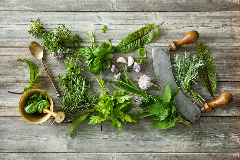 Fresh kitchen herbs and spices on wooden table.