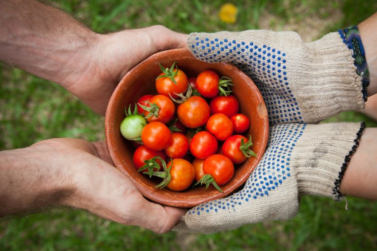organic produce